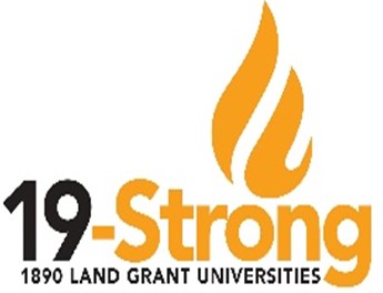 19 strong logo