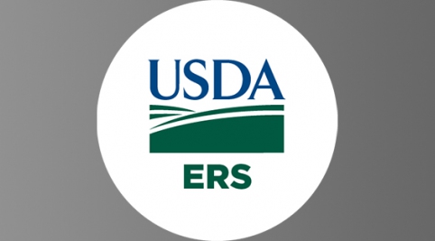 usda ers logo